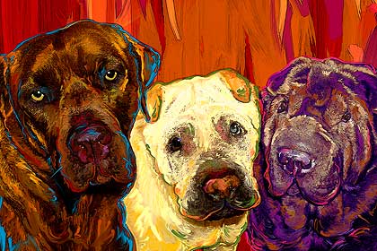 dog art