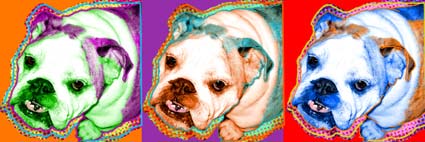 bulldog art