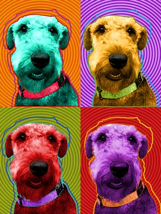 airedale art