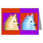 american eskimo gift