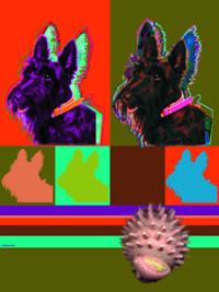 scottie, scotty dog