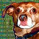 dog art