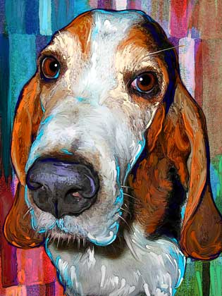 basset dog