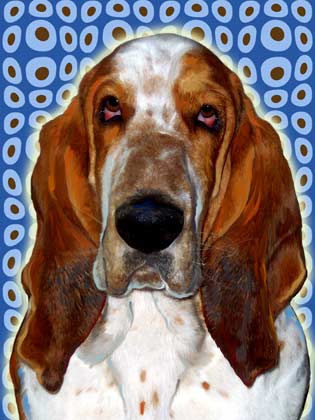 basset hound pop art