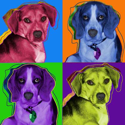 beagle print