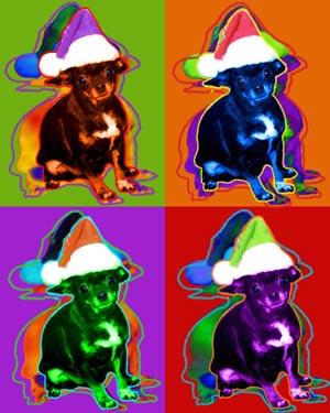 chihuahua art