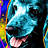 spaniel