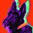 scottie