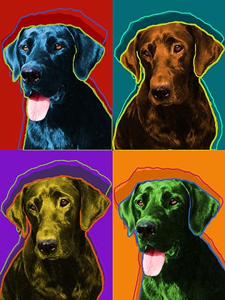 black lab art