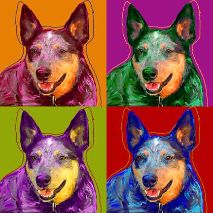 pop art blue heeler