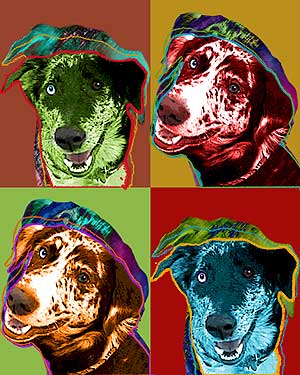 dog art