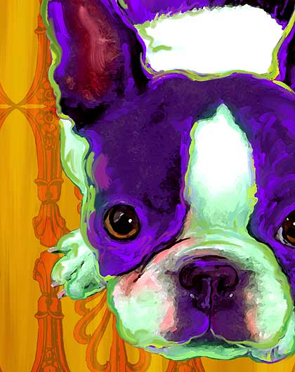 boston terrier collectables