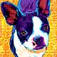 boston terrier art