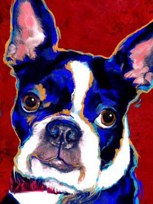 boston terrier art