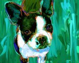 boston terrier print