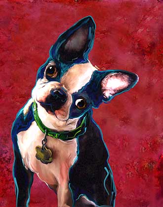 boston terrier art