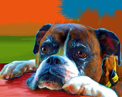 boxer dog art