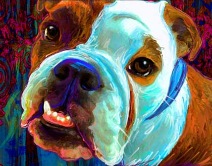 english bulldog art