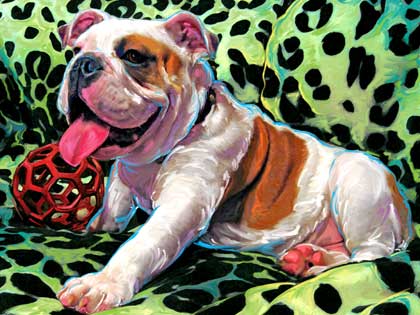 english bulldog portrait