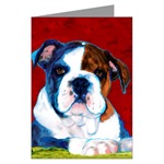 bulldog card