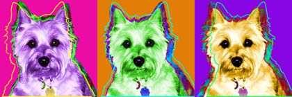 cairn terrier art