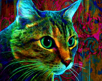 cat art portrait