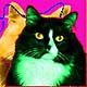 cat art