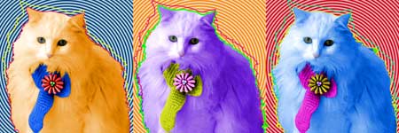 warhol cat art