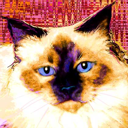 digital cat paintings