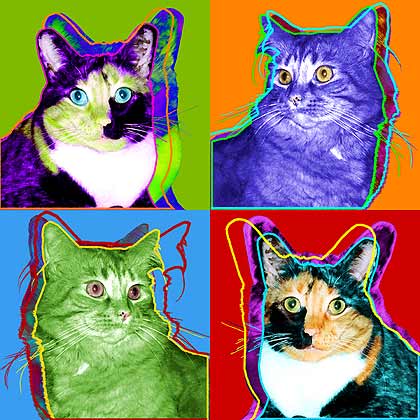 origianl cat art
