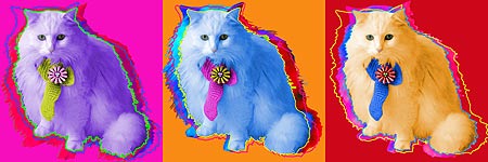original cat art