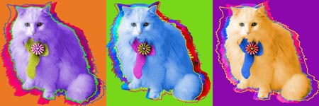 cat art
