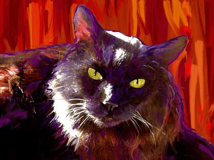 cat art