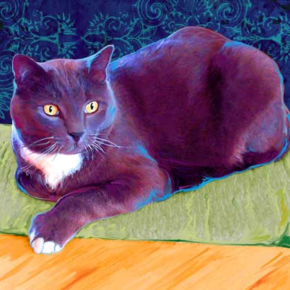 cat portrait