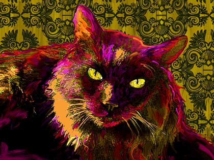 pop art cat