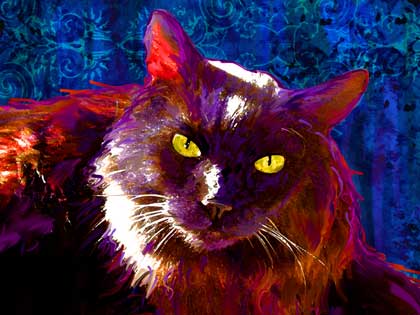blue cat art