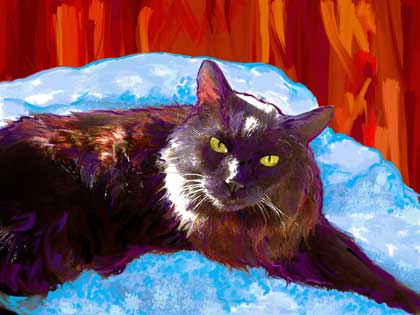 cat portrait