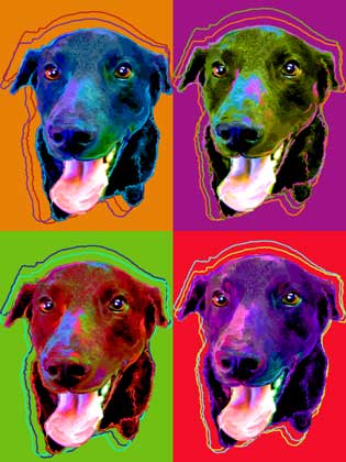 warhol dog art