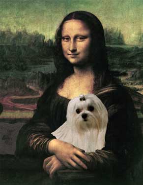 maltese print