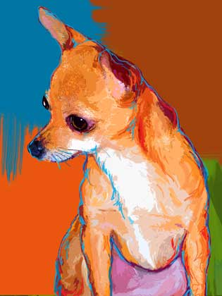 chihuahua art