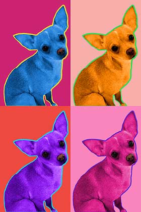 chihuahua art