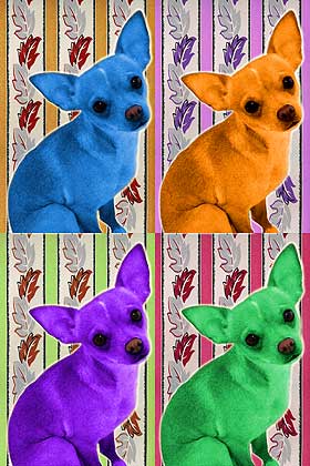 chihuahua art