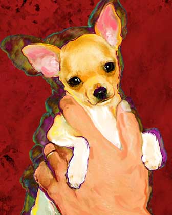 chihuahua dog art