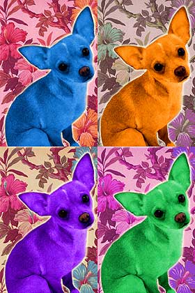 chihuahua art