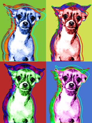 chihuahua art