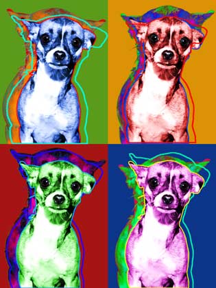 chihuahua art