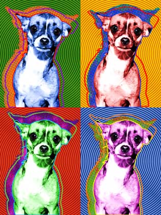 chihuahua art