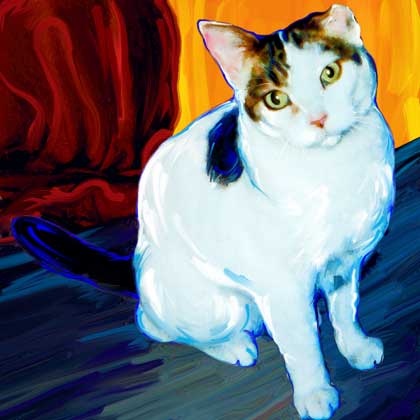 cat portrait