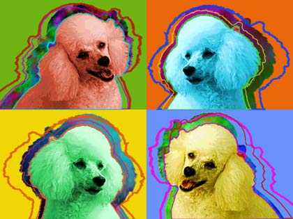 poodle art