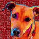 dog portrait
